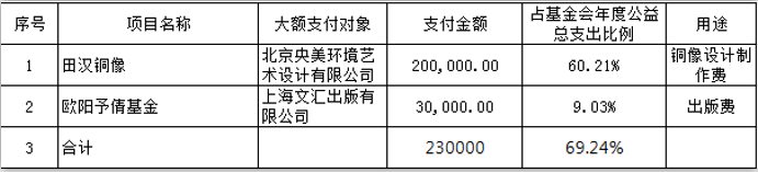 1617112696187569.png 2020年重大公益慈善项目大额支付对象.png